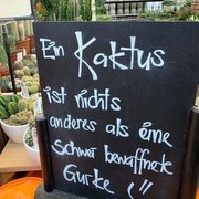 Tafel mit Spruch "Ein Kaktus ist nichts anderes als eine schwer bewaffnete Gurke