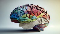 Cerveau coloré fait avec différents papiers